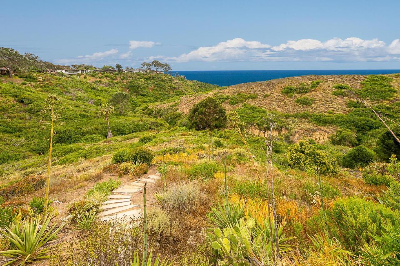 فيلا La Jolla Lookout سان دييغو المظهر الخارجي الصورة